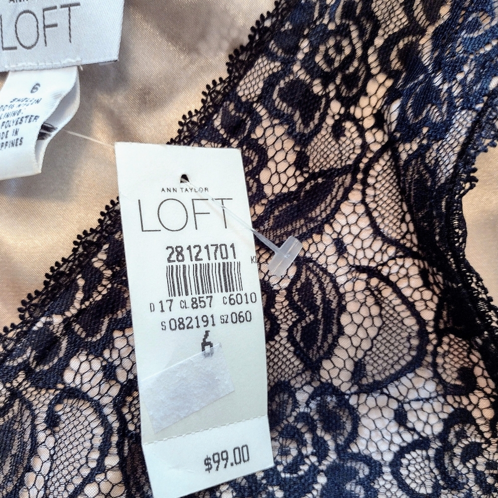 Ann Taylor LOFT classic lace dress